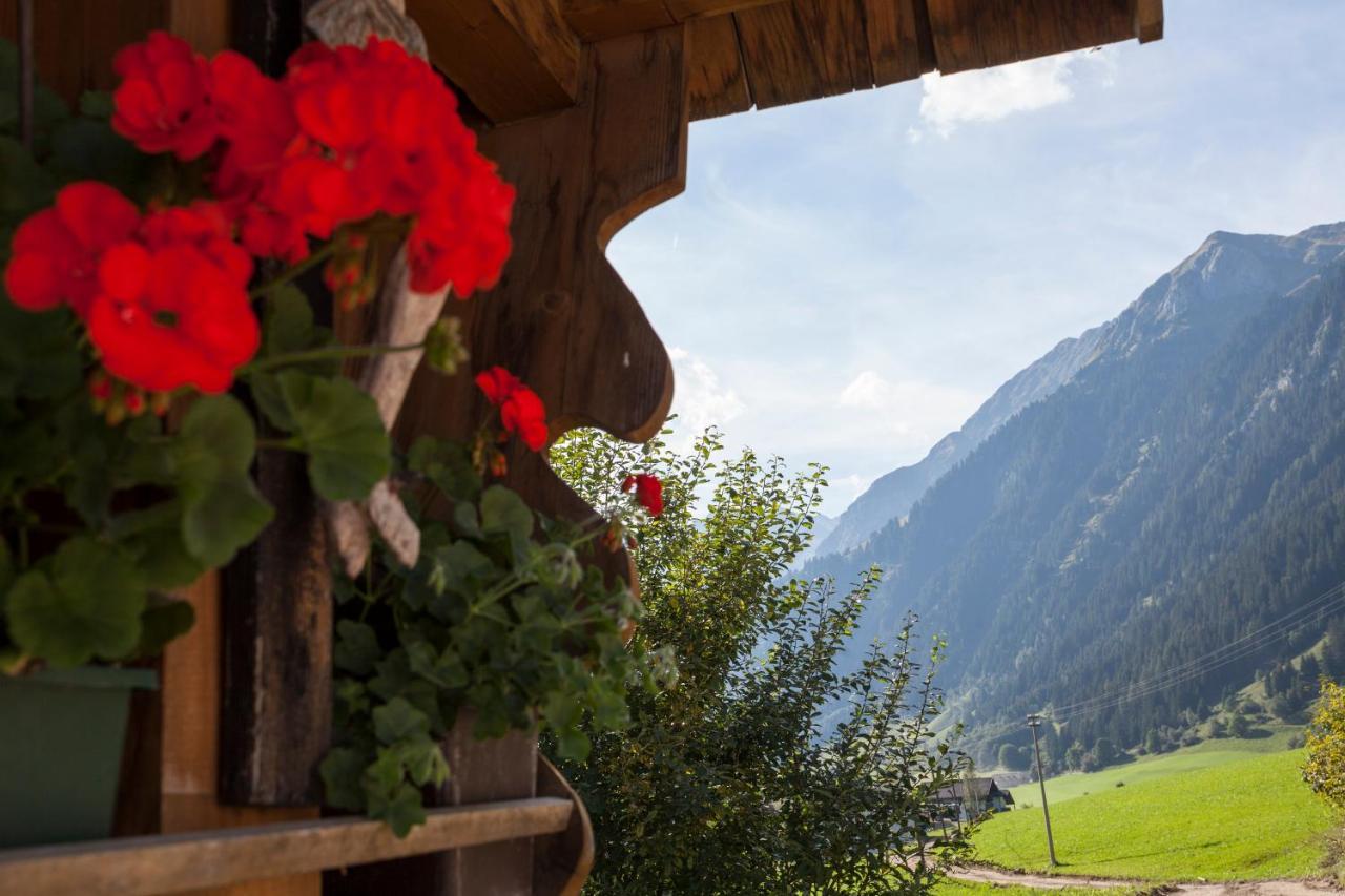 Alpenspitz Appartements - Garni - B&B Racines Exterior photo